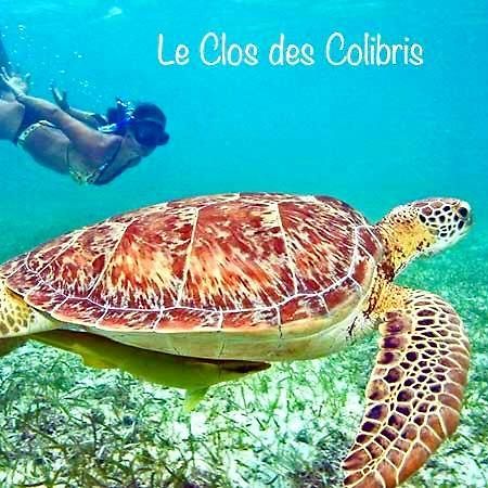 LODGE COLIBRIS vue panoramique mer et montagne pelée , 500 m plage dans un parc , Calme assuré Idéal pour découvrir le nord Caraïbes Le Carbet Esterno foto