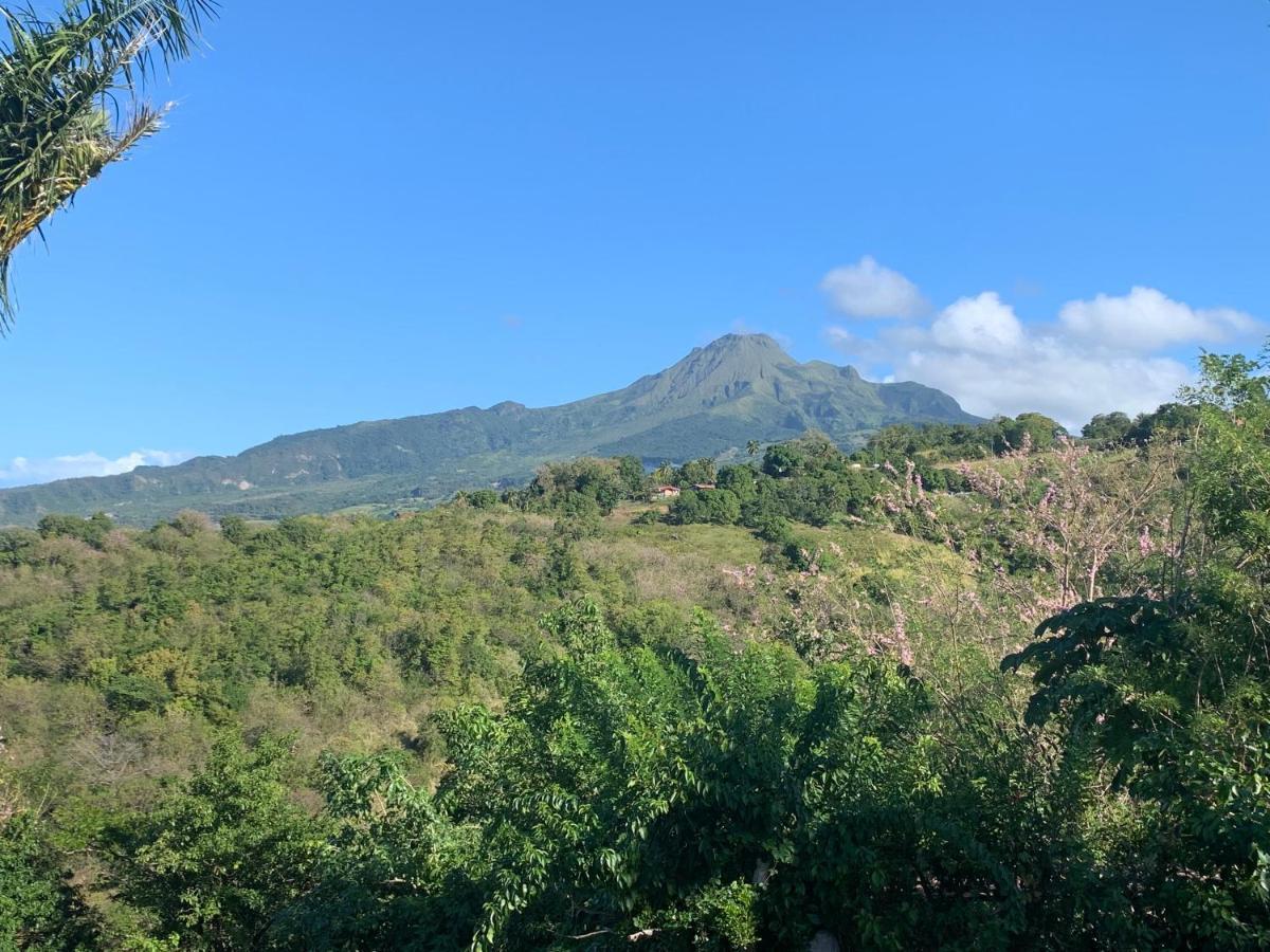 LODGE COLIBRIS vue panoramique mer et montagne pelée , 500 m plage dans un parc , Calme assuré Idéal pour découvrir le nord Caraïbes Le Carbet Esterno foto