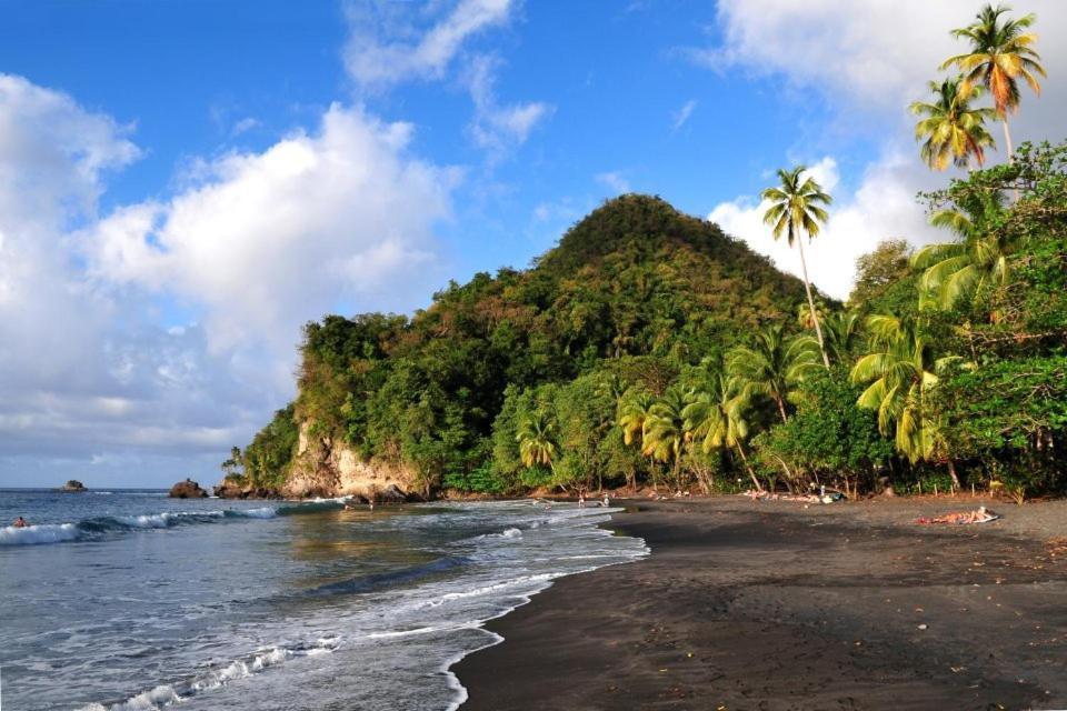 LODGE COLIBRIS vue panoramique mer et montagne pelée , 500 m plage dans un parc , Calme assuré Idéal pour découvrir le nord Caraïbes Le Carbet Esterno foto