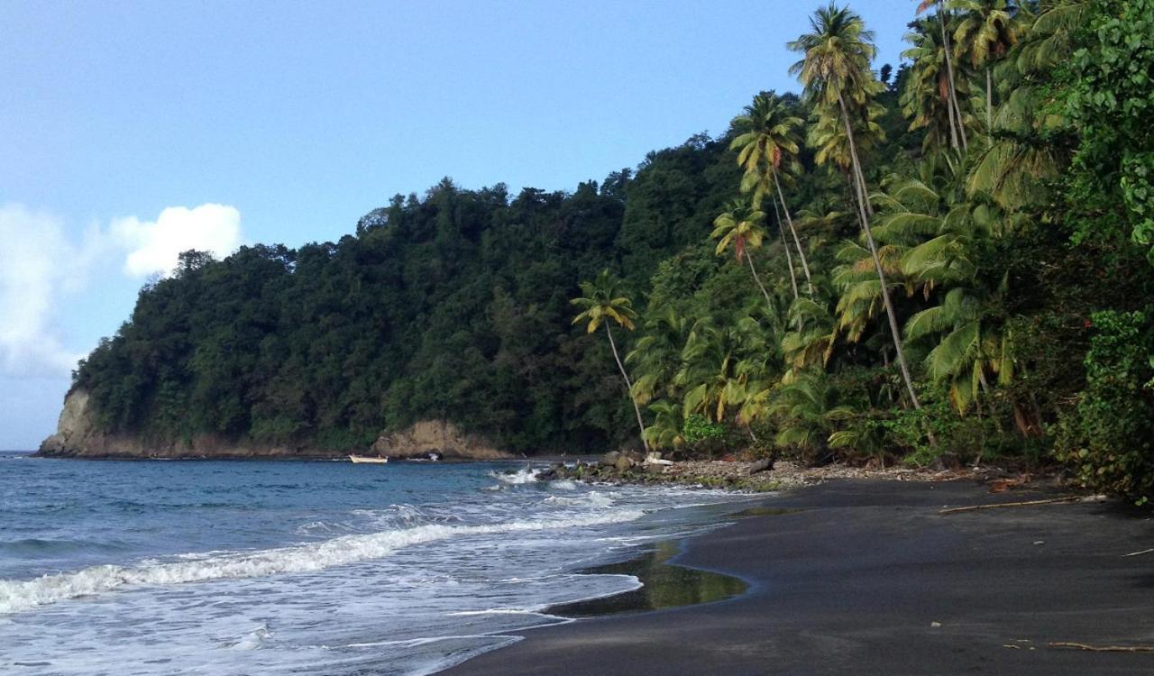 LODGE COLIBRIS vue panoramique mer et montagne pelée , 500 m plage dans un parc , Calme assuré Idéal pour découvrir le nord Caraïbes Le Carbet Esterno foto