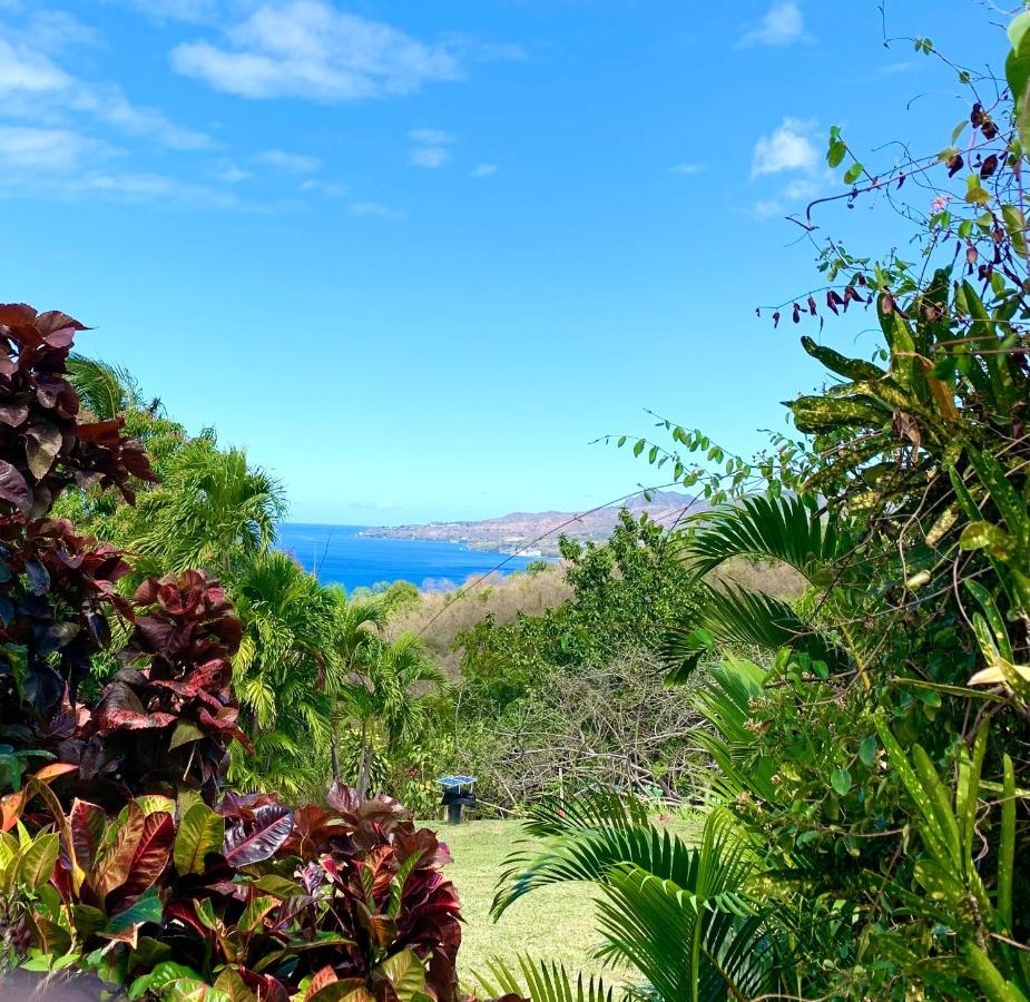 LODGE COLIBRIS vue panoramique mer et montagne pelée , 500 m plage dans un parc , Calme assuré Idéal pour découvrir le nord Caraïbes Le Carbet Esterno foto