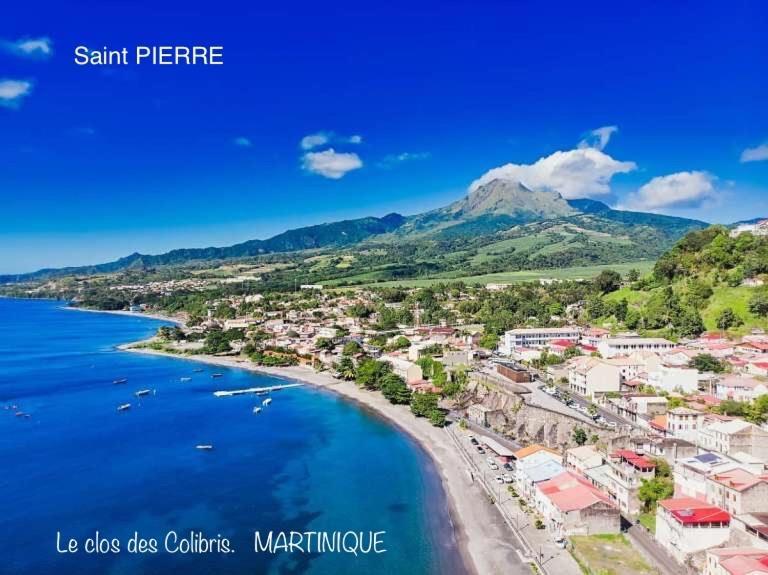 LODGE COLIBRIS vue panoramique mer et montagne pelée , 500 m plage dans un parc , Calme assuré Idéal pour découvrir le nord Caraïbes Le Carbet Esterno foto